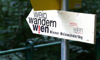 Wiener Weinwandertag 003 © PID Houdek Wiener Weinwandertag 003 © PID Houdek
